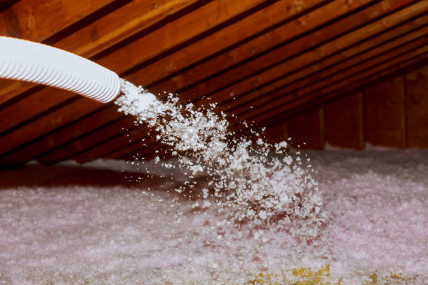 Best Energy Efficiency Insulation in Kurtistown, HI