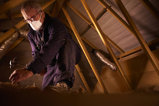 Trusted Kurtistown, HI Insulation Contractor Experts